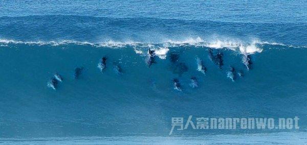 从百度问答到人沉在水里多久淹死？——国内领先有问必答平台