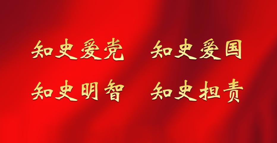 探索十大新手最好养的狗狗